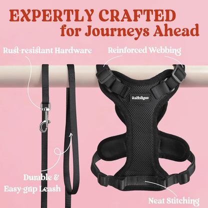 Cat Walking Harness & Leash Set