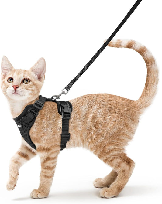 Cat Walking Harness & Leash Set
