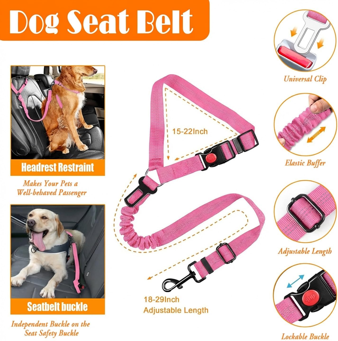 dog Walking Harness & Leash Set