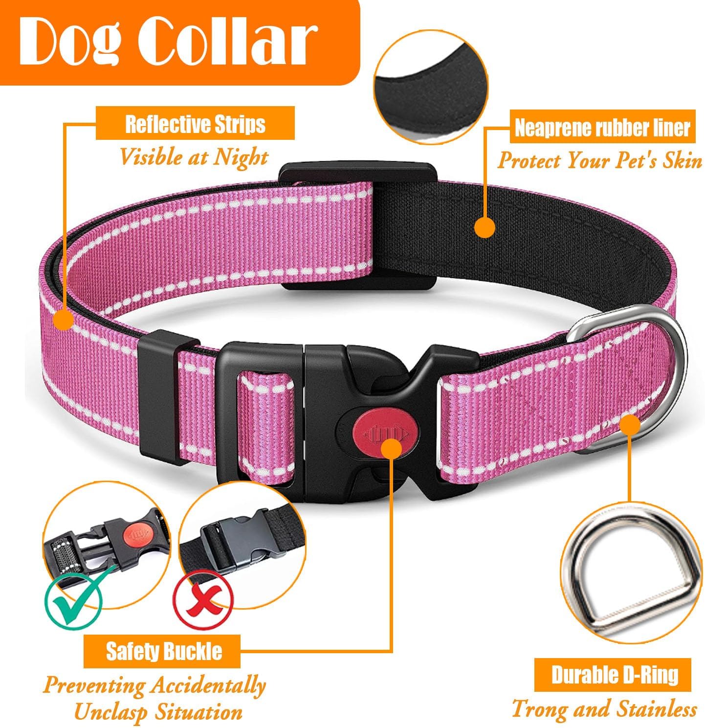 dog Walking Harness & Leash Set