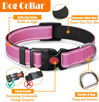 dog Walking Harness & Leash Set