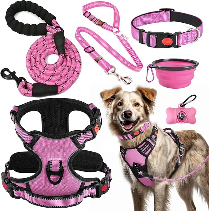 dog Walking Harness & Leash Set