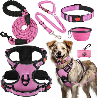 dog Walking Harness & Leash Set