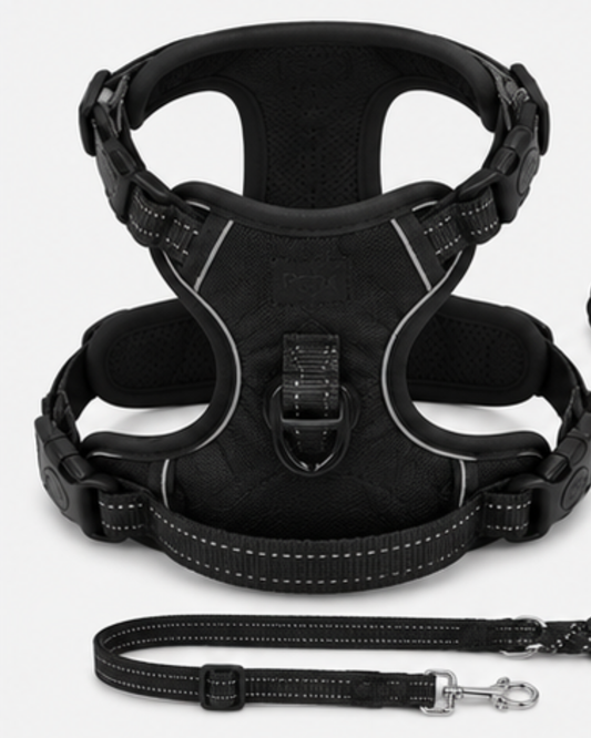 Cat Walking Harness & Leash Set