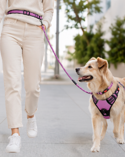 dog Walking Harness & Leash Set