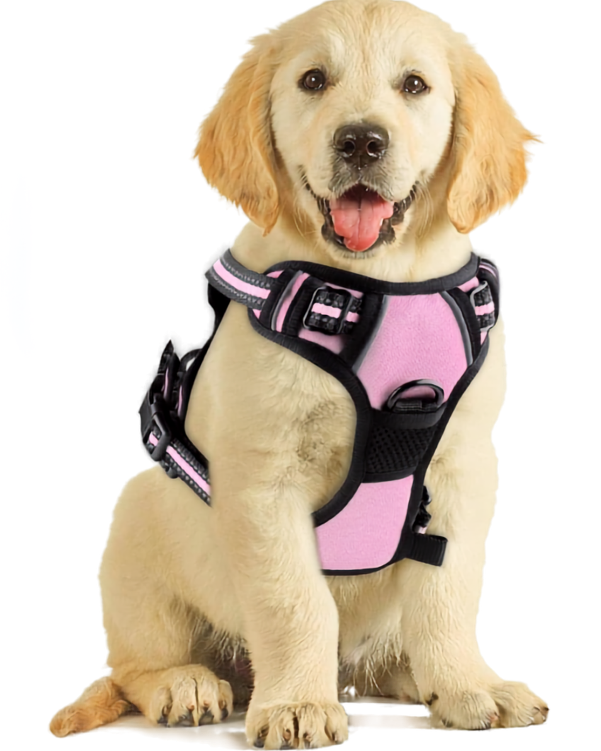 dog Walking Harness & Leash Set