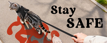Cat Walking Harness & Leash Set